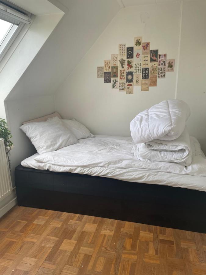 Cool Familyhome Close To The Beach W Two Cuddly Cats Espergaerde Ngoại thất bức ảnh